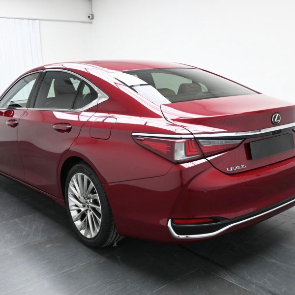 Lexus ES 250 2.5 Luxury AT (2019) - Image 12
