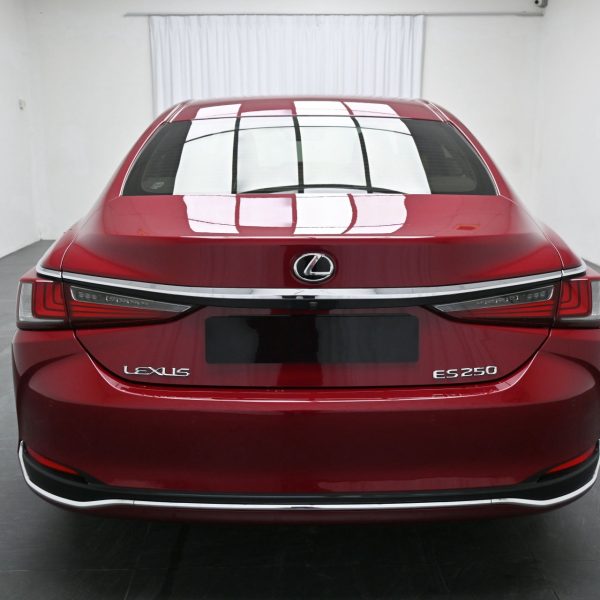 Lexus ES 250 2.5 Luxury AT (2019) - Image 13