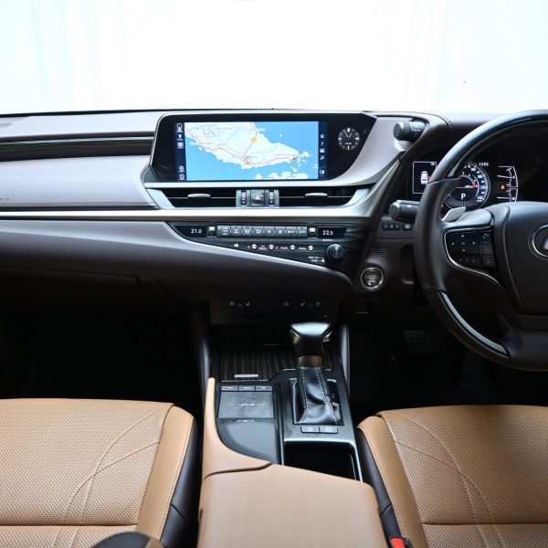Lexus ES 250 2.5 Luxury AT (2019) - Image 15