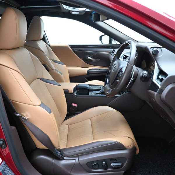Lexus ES 250 2.5 Luxury AT (2019) - Image 16