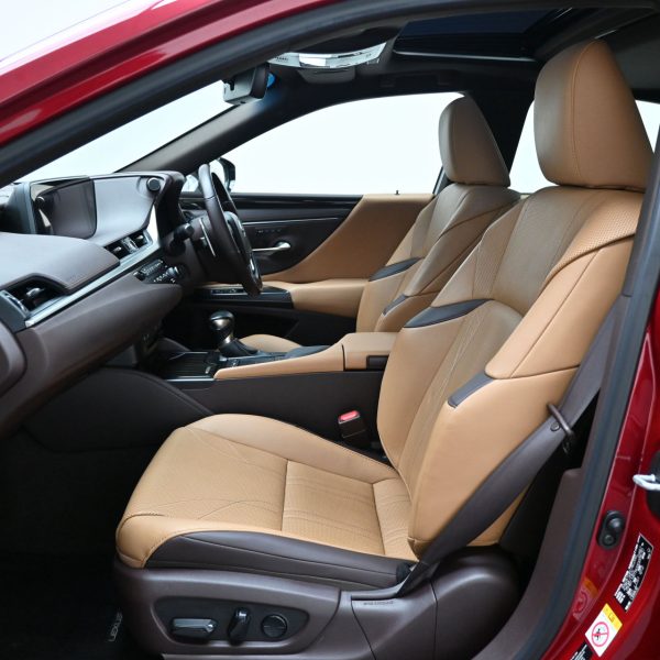 Lexus ES 250 2.5 Luxury AT (2019) - Image 17