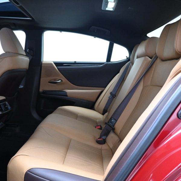 Lexus ES 250 2.5 Luxury AT (2019) - Image 19