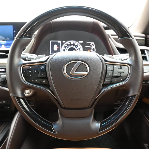 Lexus ES 250 2.5 Luxury AT (2019) - Image 5